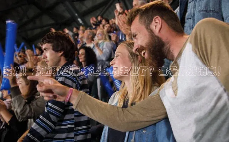 意昂体育4招商顺丰