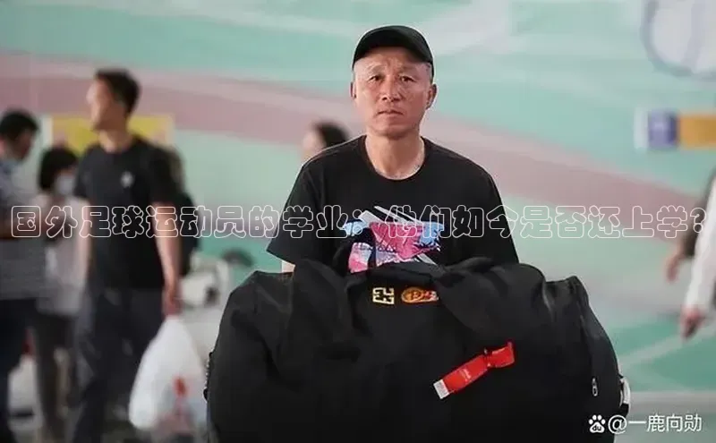意昂4官网百度翻译