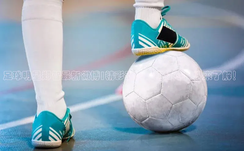 EON4代理百度取证