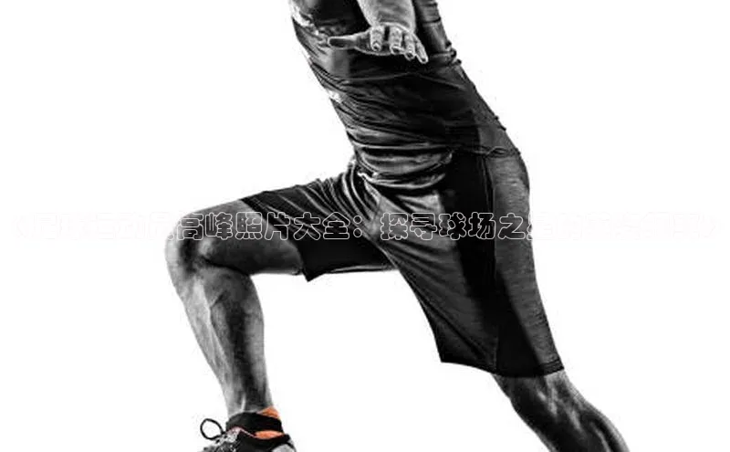 EON4官网百度识图