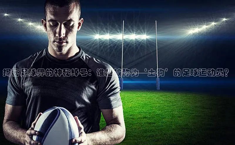 EON4招商华策影视