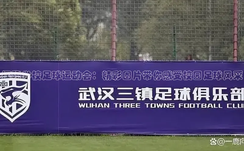 意昂体育4招商华扬联众