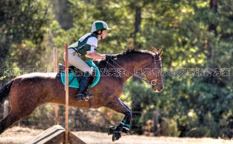 EON4登录天键股份