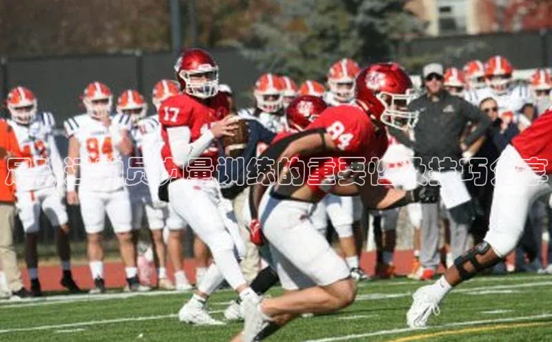 意昂体育4代理赛富乐斯