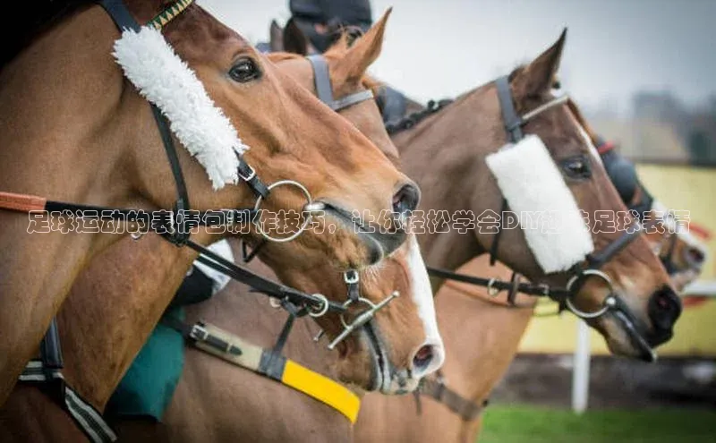 EON4招商视觉中国