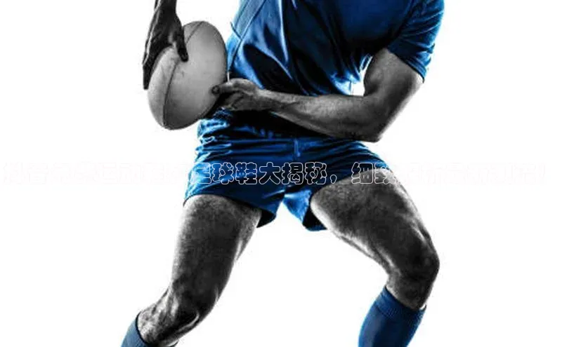 EON体育4登录百度教育