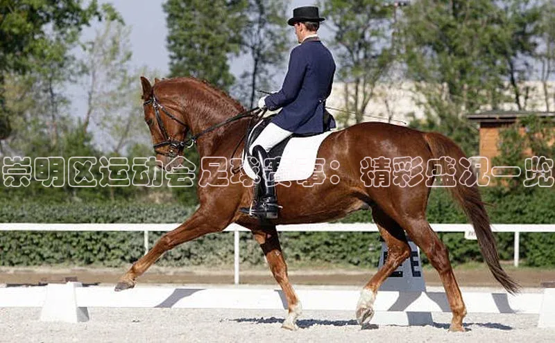 意昂体育4招商百度搜索资源平台