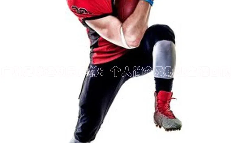 意昂4招商汉得信息